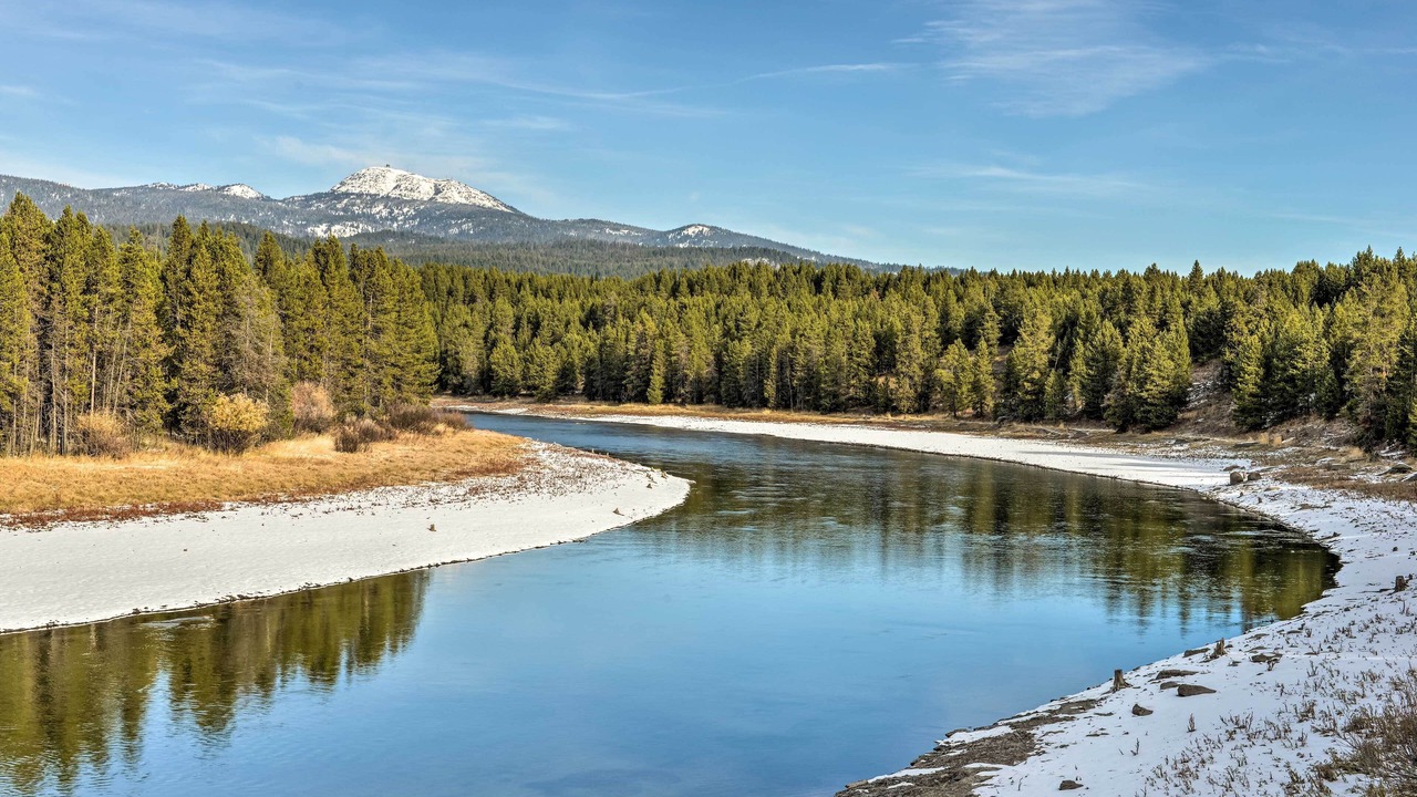 Photo of Others in Island Park