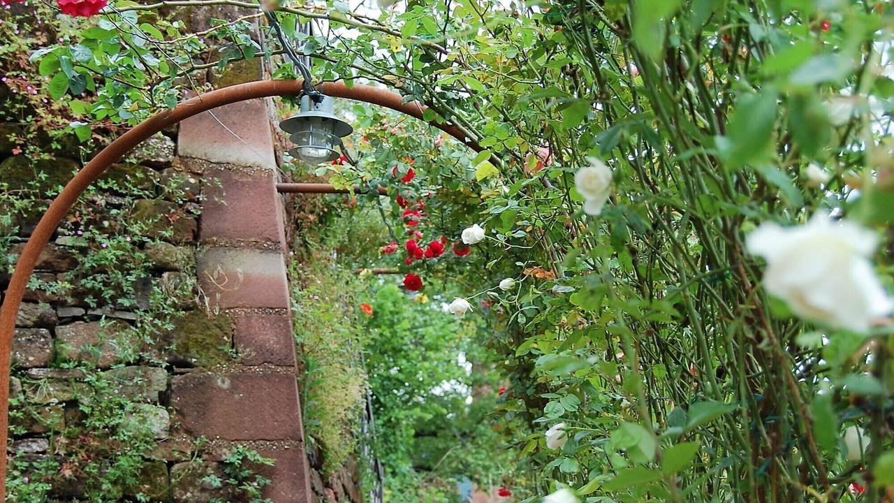 Photo of Outdoor in Conques