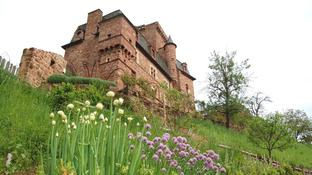 Photo of Outdoor in Conques