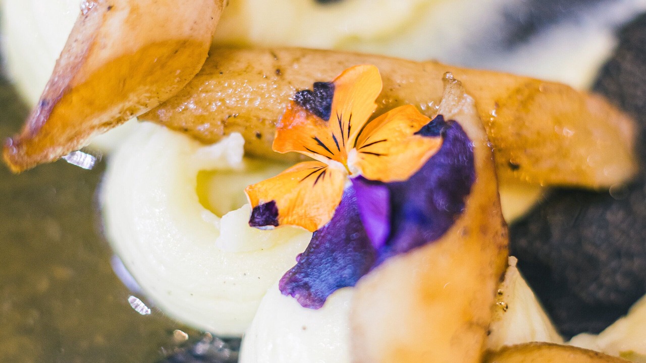 Photo of Others in Montigny-la-Resle