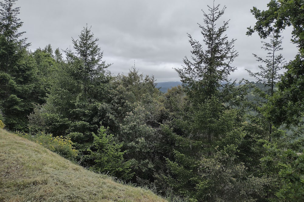 Photo of Outdoor in Benbow