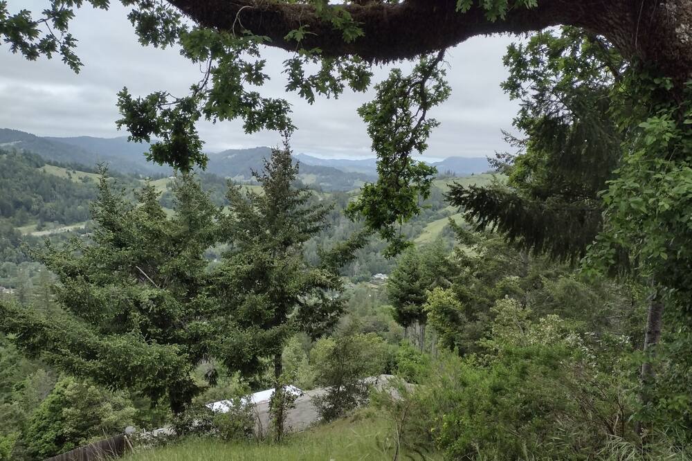 Photo of Outdoor in Benbow