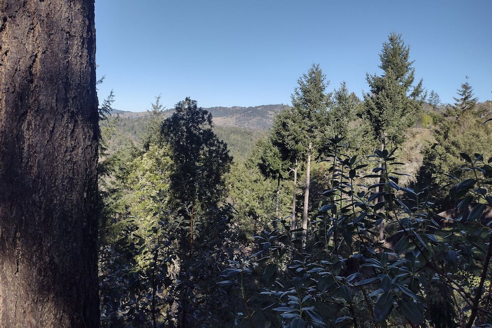 Photo of Outdoor in Benbow