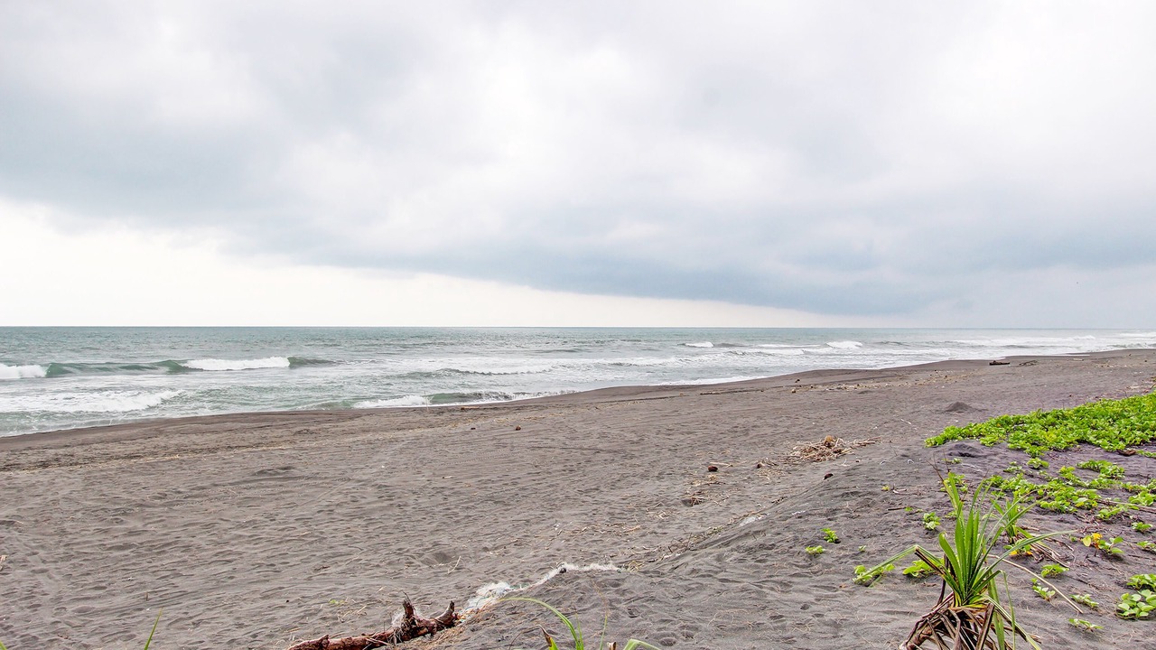 Photo of Outdoor in Temon