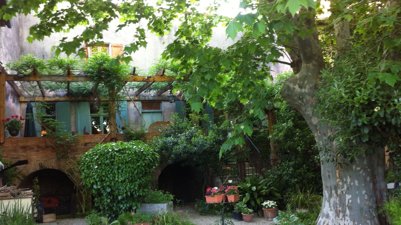 Photo of Outdoor in Palau-del-Vidre