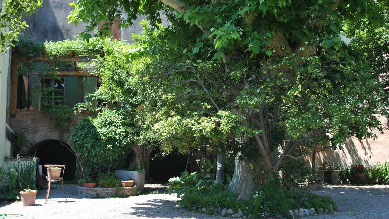Photo of Outdoor in Palau-del-Vidre