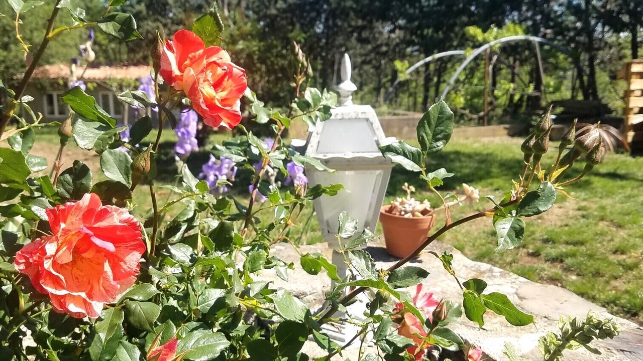 Photo of Outdoor in Saint-Marsal