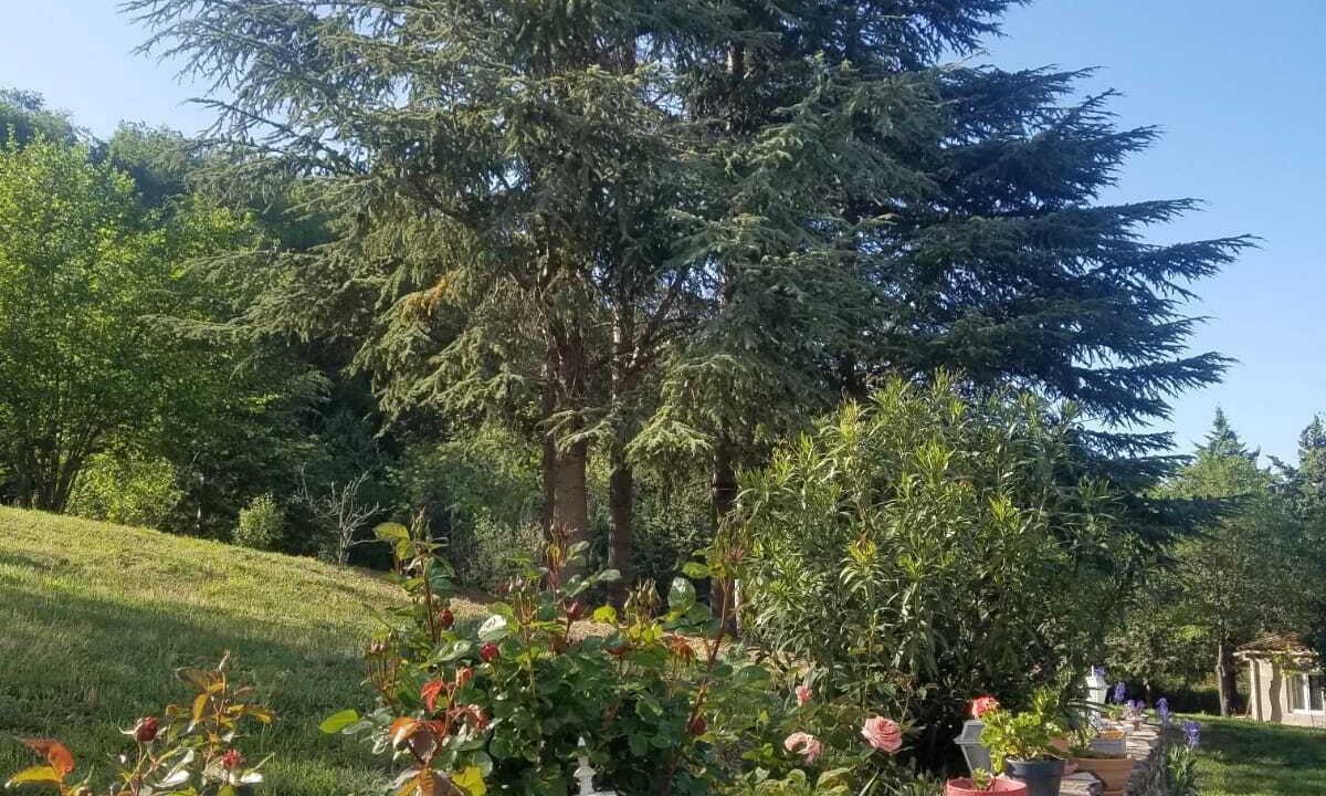 Photo of Outdoor in Saint-Marsal