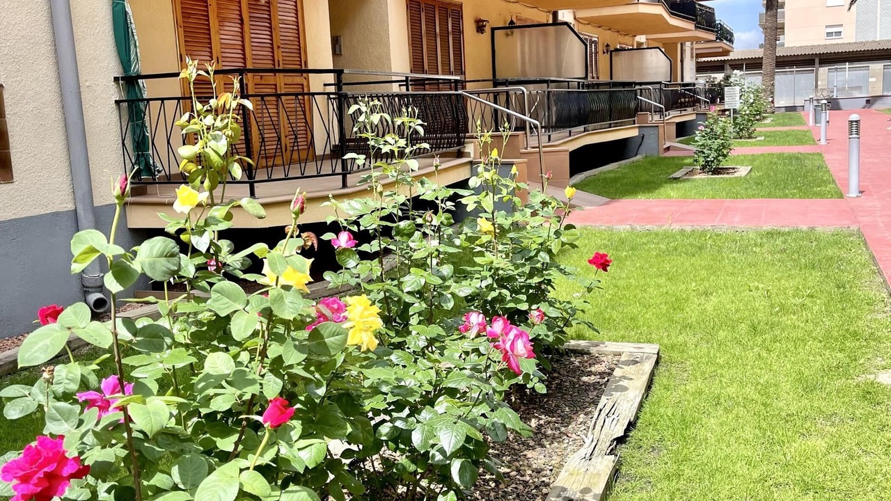 Photo of Outdoor in La Pineda