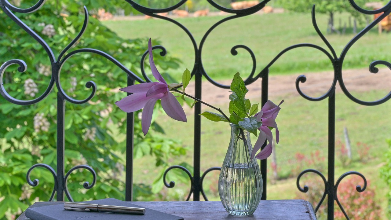 Photo of Bedroom in Camps-Saint-Mathurin-Leobazel