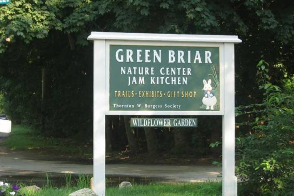Photo of Outdoor in Marstons Mills