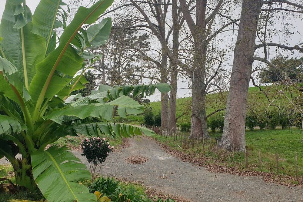 Photo of Others in Riverhead