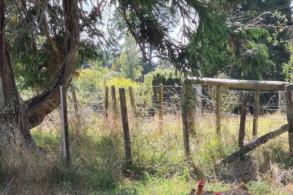 Photo of Others in Riverhead