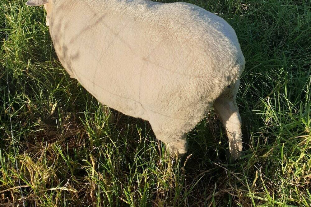 Photo of Others in Riverhead