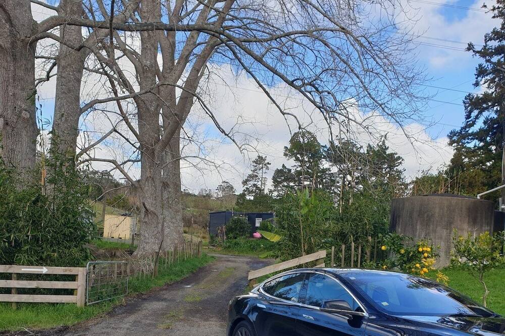 Photo of Others in Riverhead