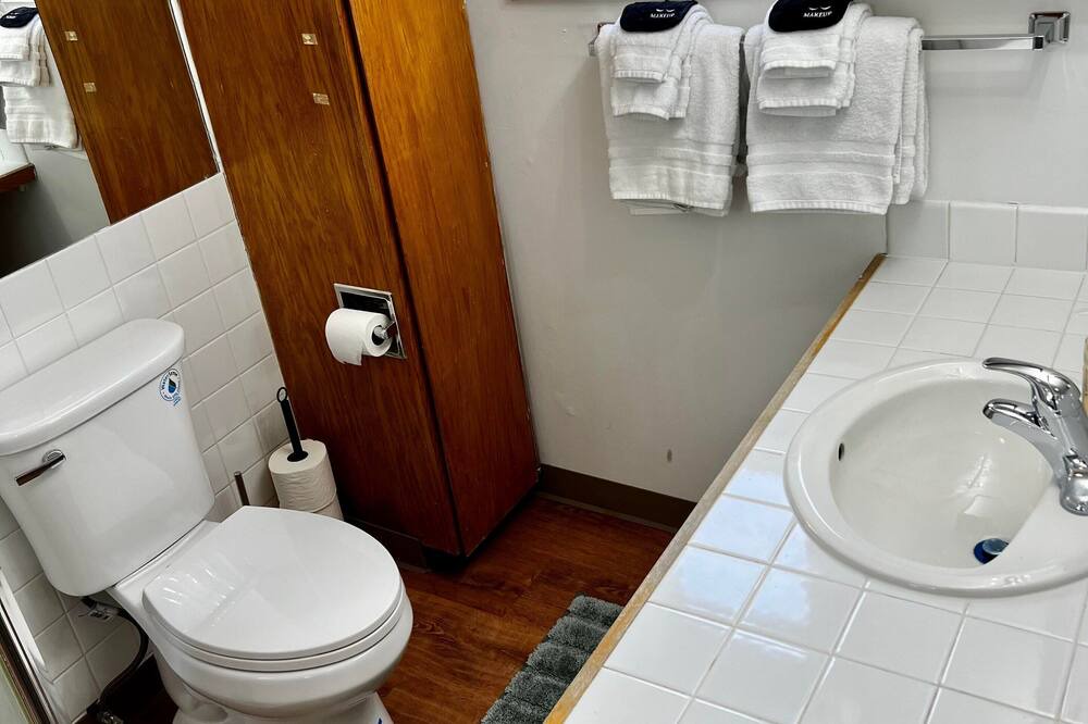 Photo of Bathroom in Indian