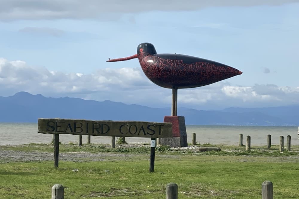 Photo of Outdoor in Kaiaua