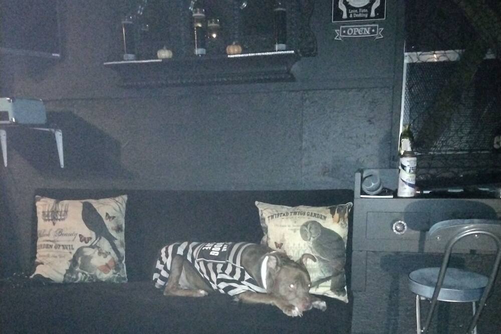 Photo of Others in Fairvilla