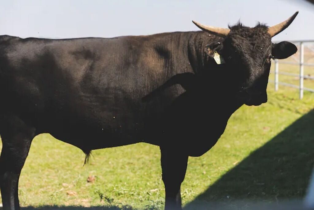 Photo of Others in San Angelo