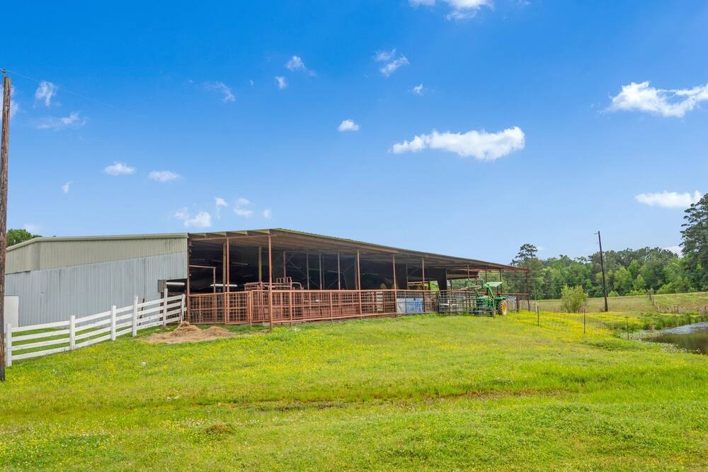 Photo of Outdoor in Tyler