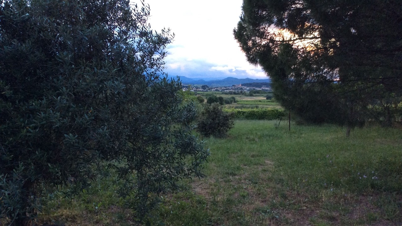 Photo of Others in Thezan-les-Beziers
