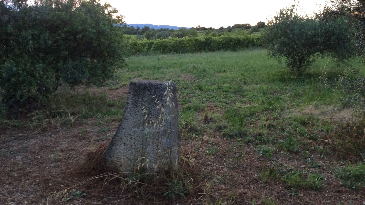 Photo of Others in Thezan-les-Beziers