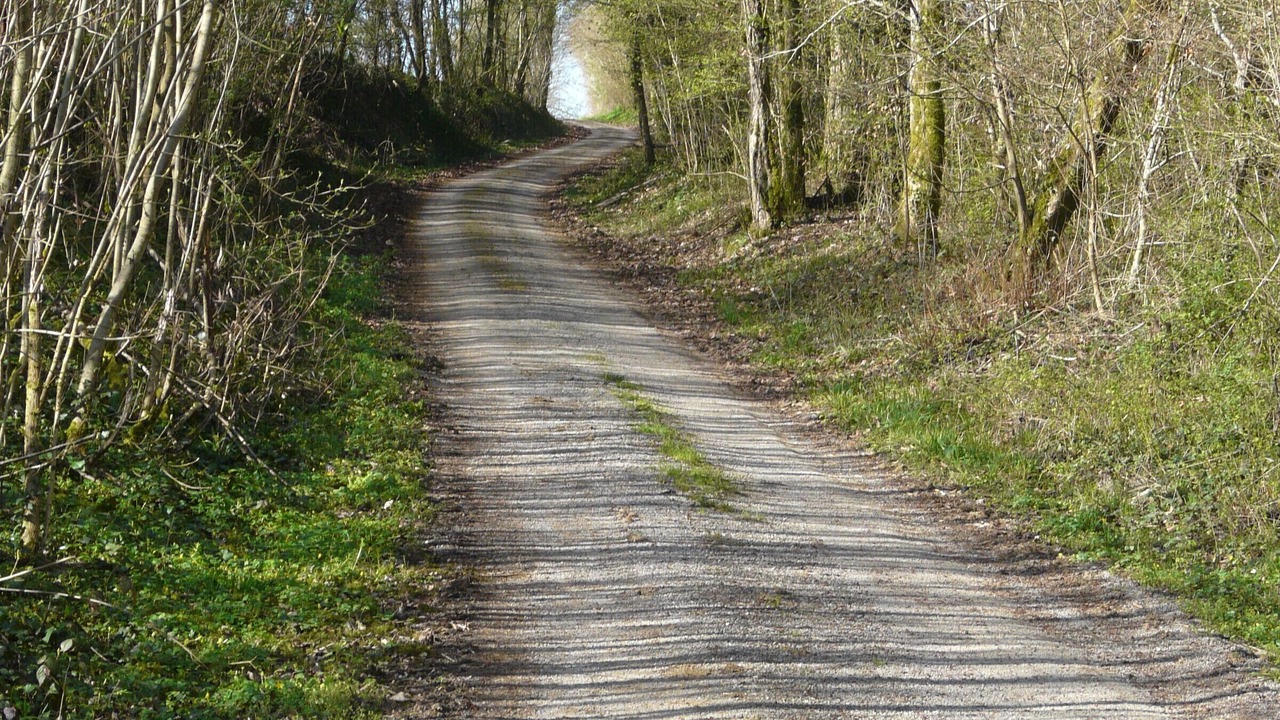 Photo of Outdoor in Saudrupt