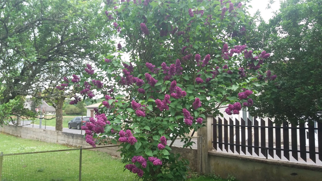 Photo of Outdoor in Saudrupt