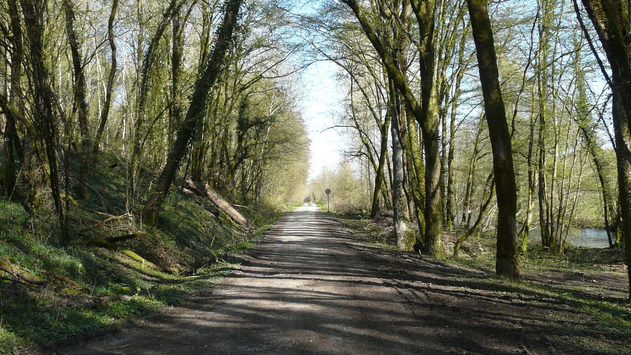 Photo of Others in Saudrupt