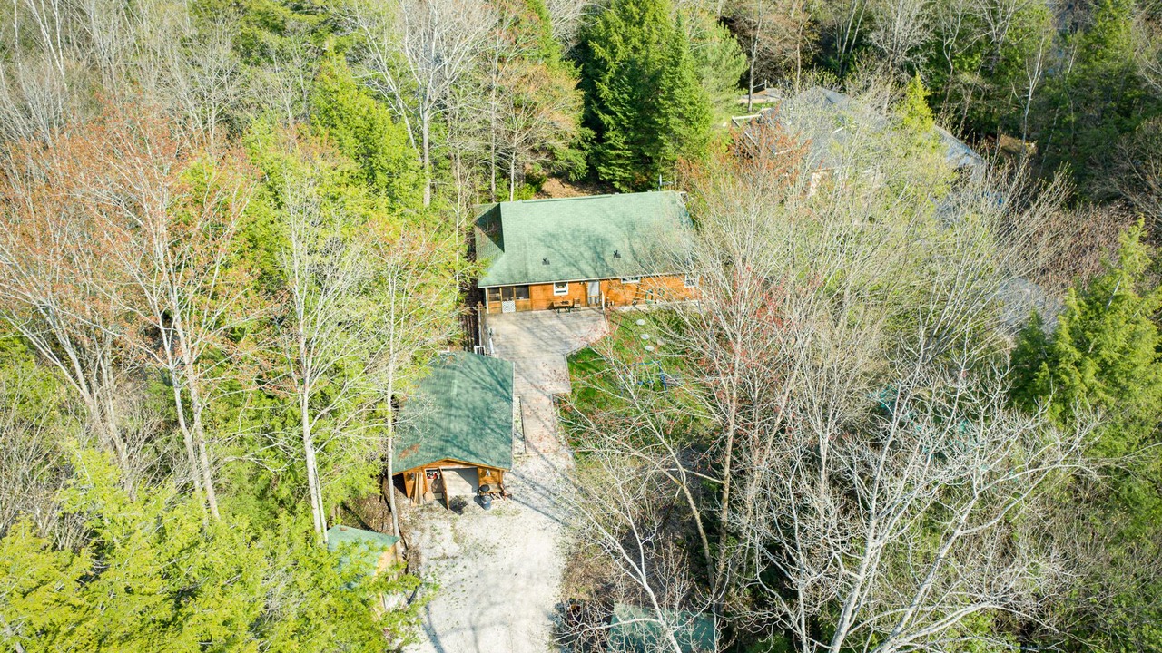 Photo of Outdoor in Sebright