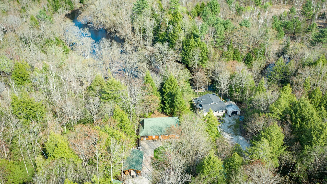 Photo of Outdoor in Sebright