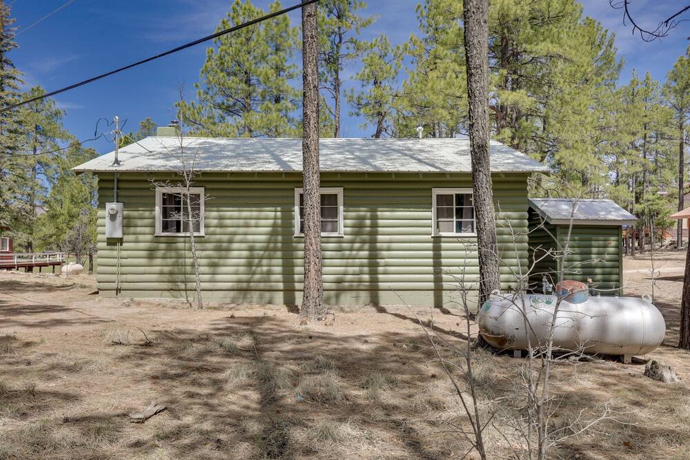 Photo of Outdoor in Alpine