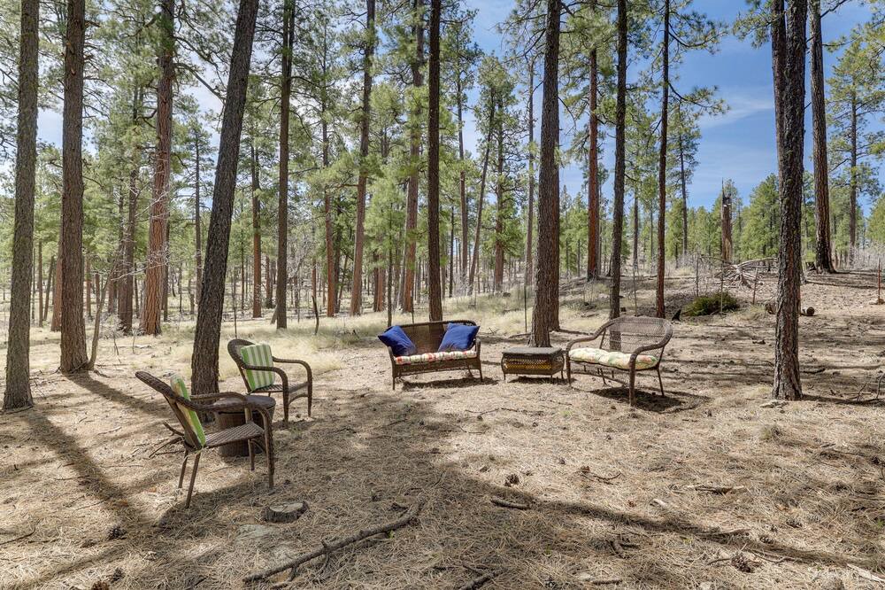 Photo of Outdoor in Alpine