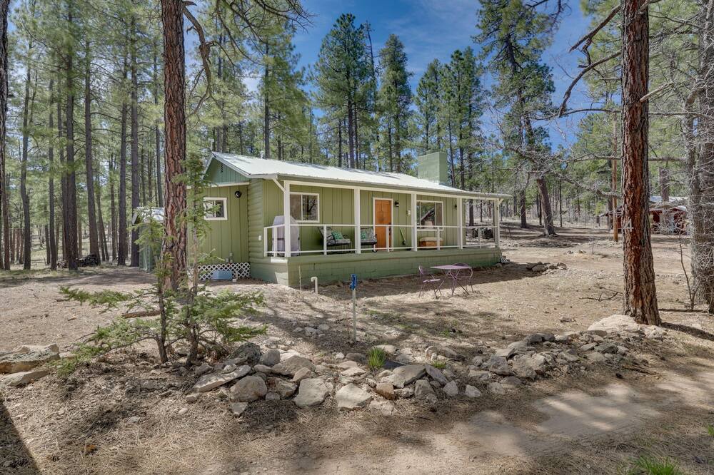 Photo of Outdoor in Alpine