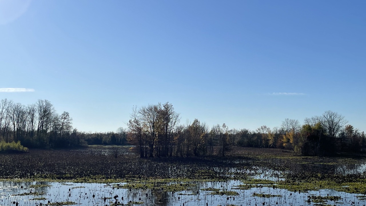 Photo of Outdoor in Desha