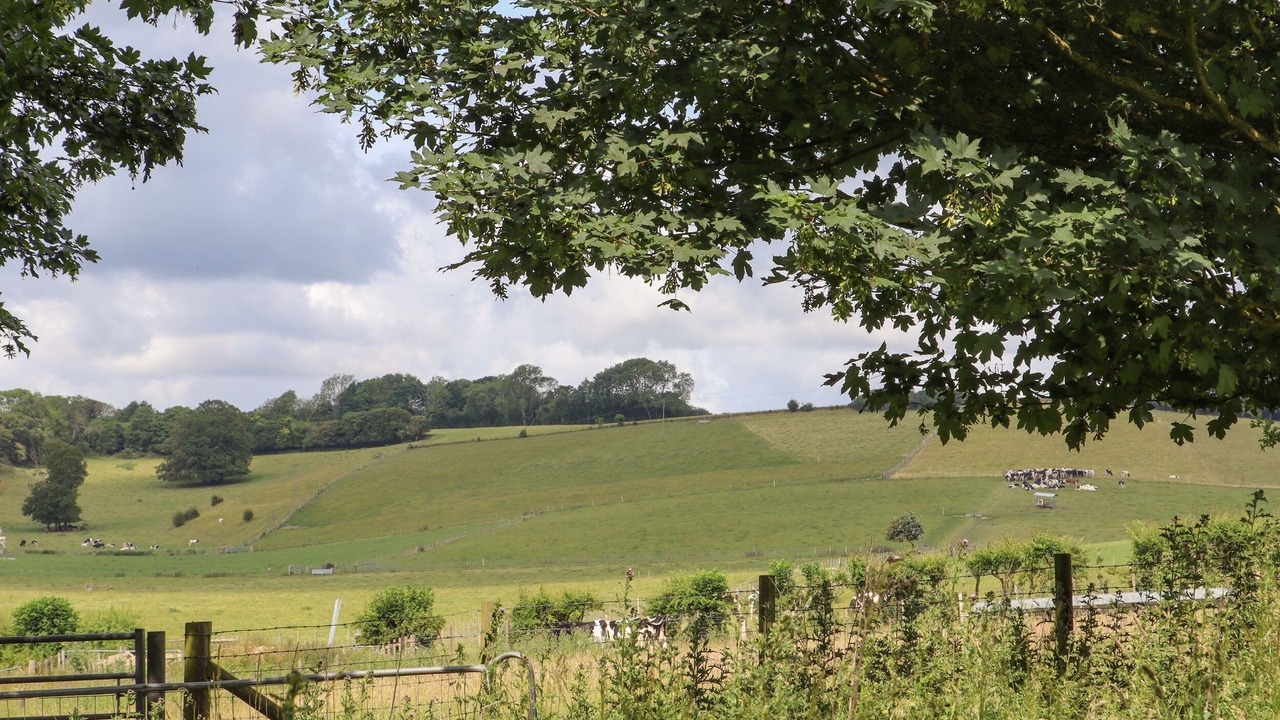 Photo of Others in Etchinghill