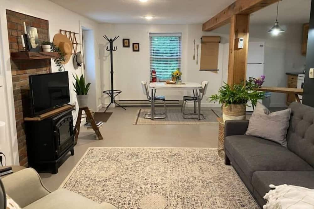 Photo of Livingroom in Cambridge