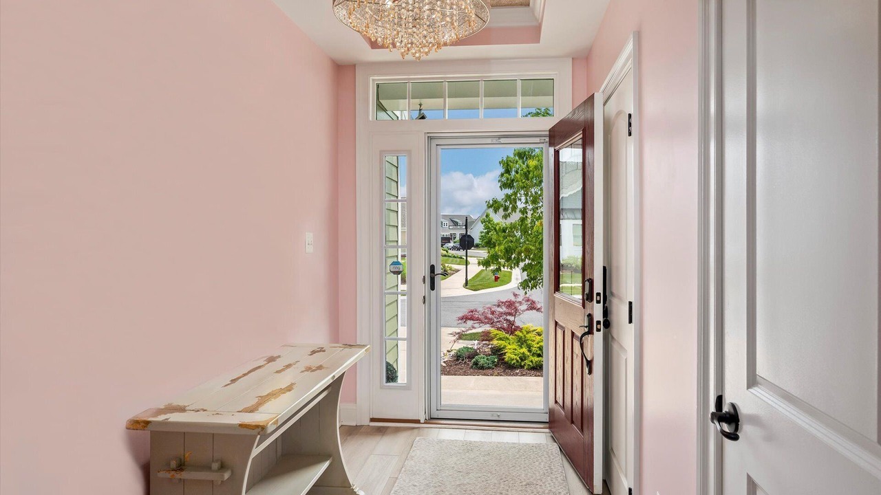 Photo of Others in Bayside