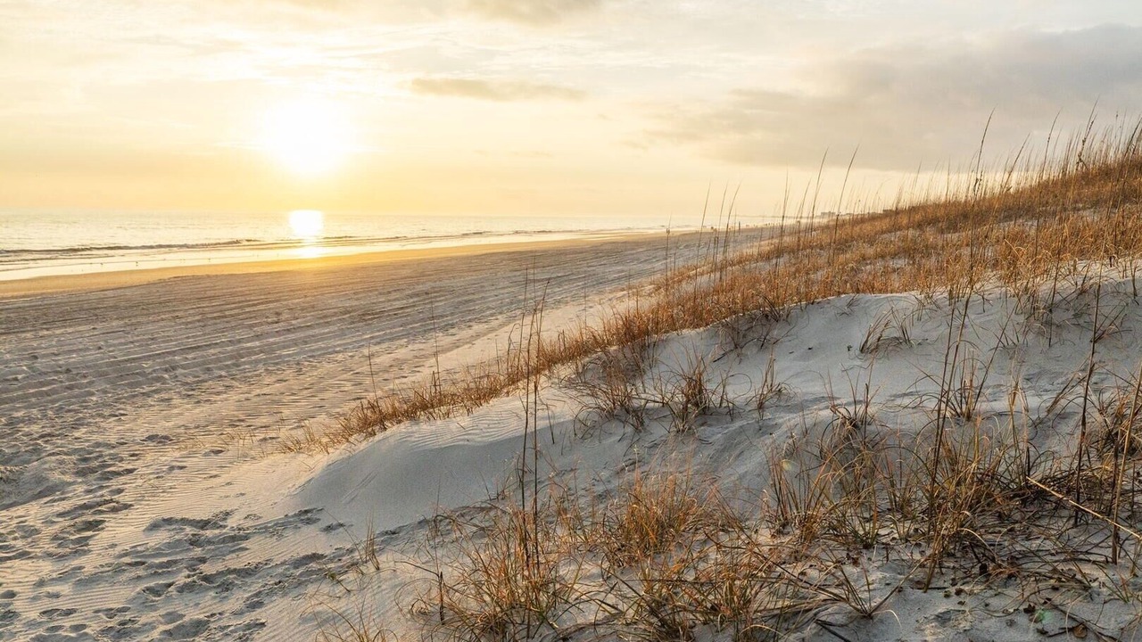Photo of Others in Atlantic Beach
