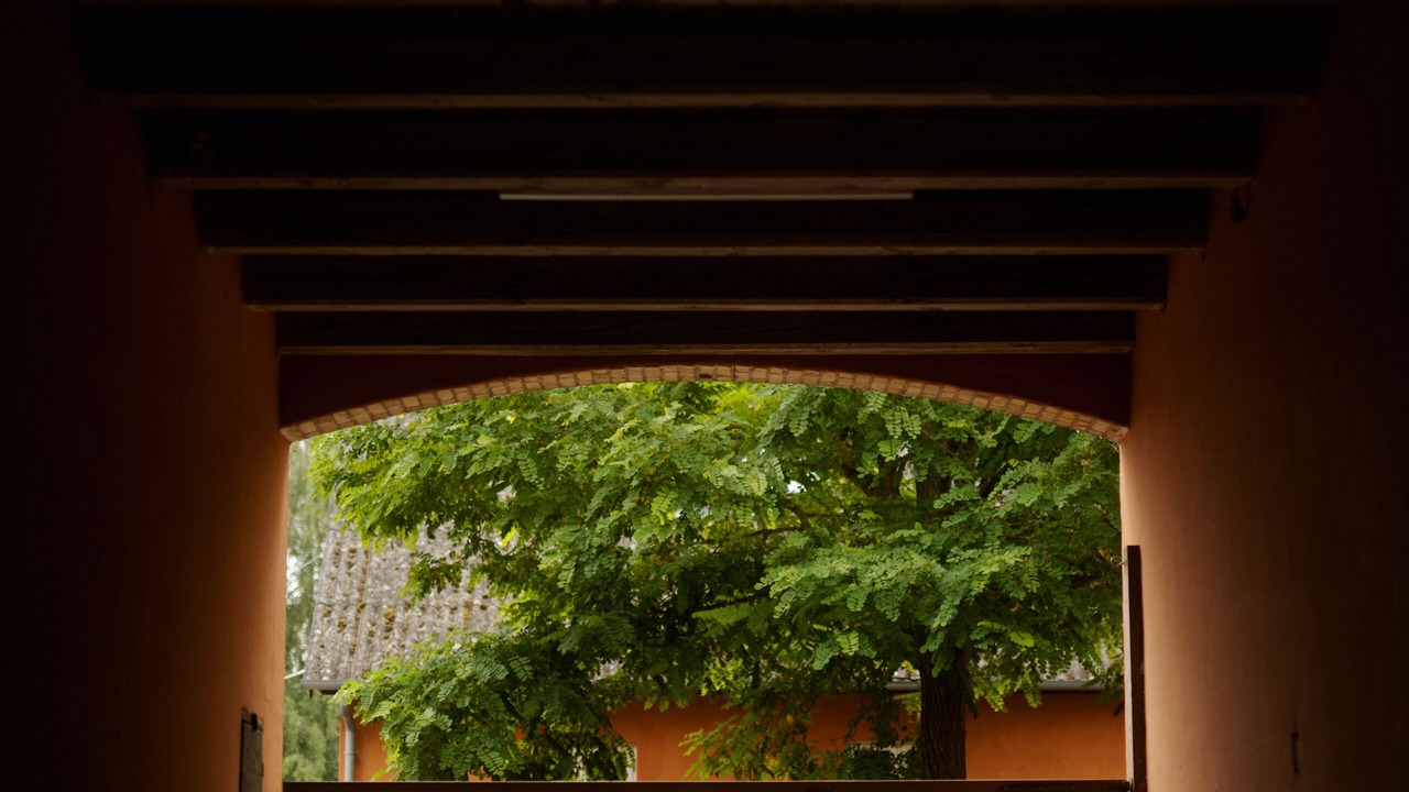 Photo of Outdoor in Harlev