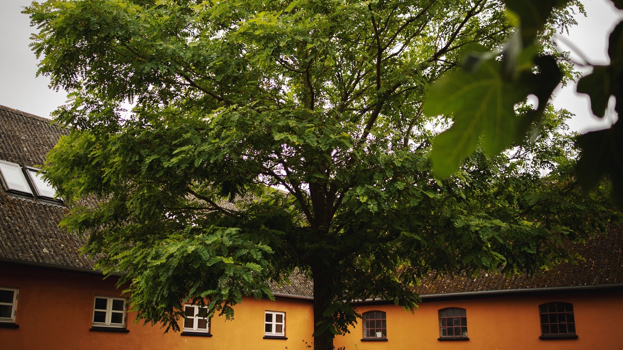 Photo of Outdoor in Harlev