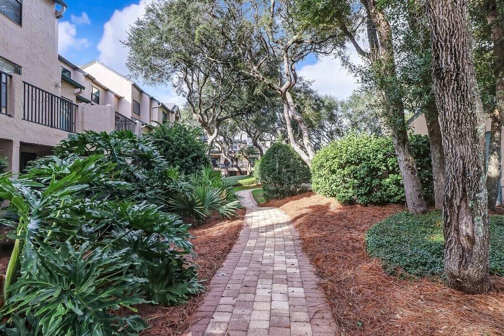 Photo of Others in American Beach