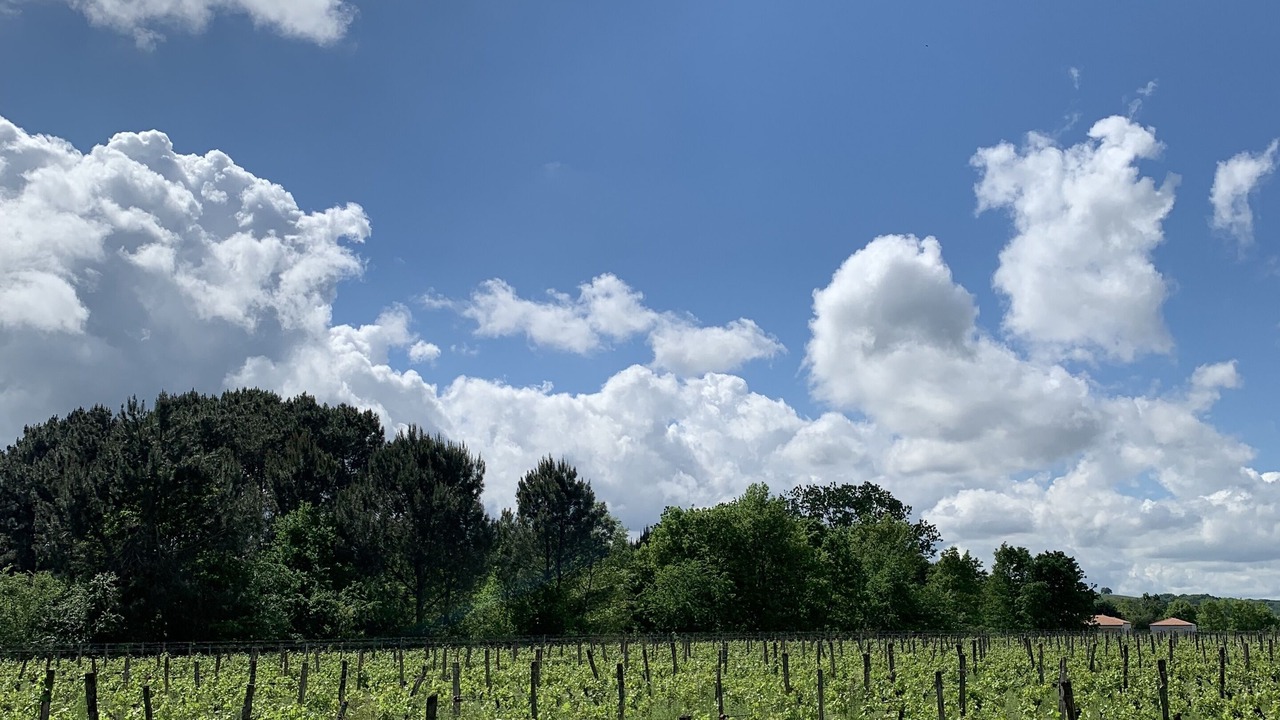 Photo of Others in Buzet-sur-Baise