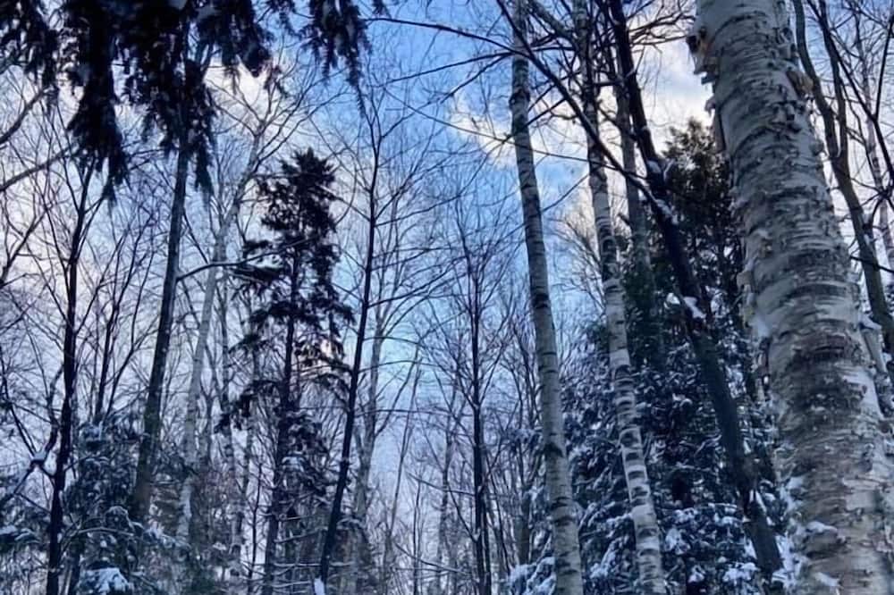 Photo of Outdoor in Waterbury