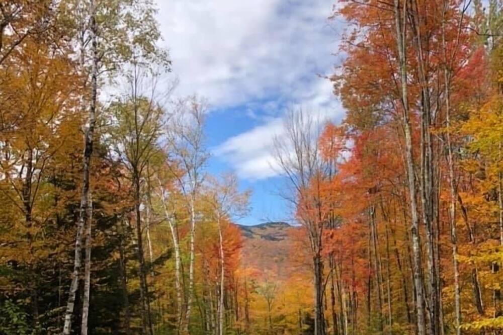 Photo of Outdoor in Waterbury