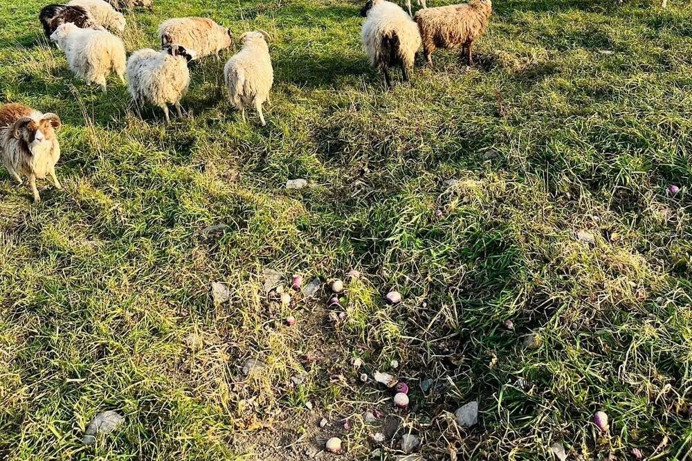 Photo of Outdoor in Waterbury