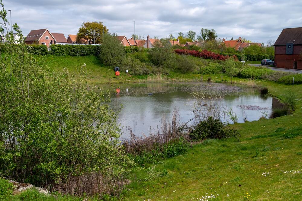 Photo of Outdoor in Chelmsford