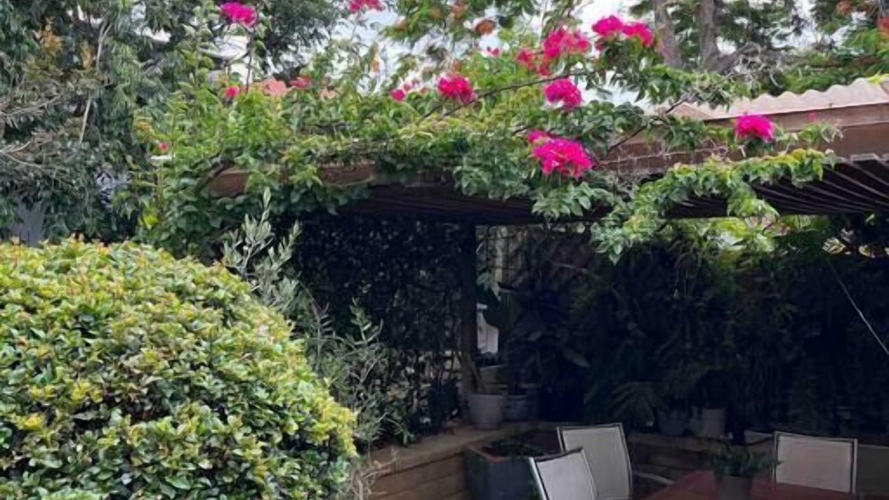 Photo of Outdoor in Annerley