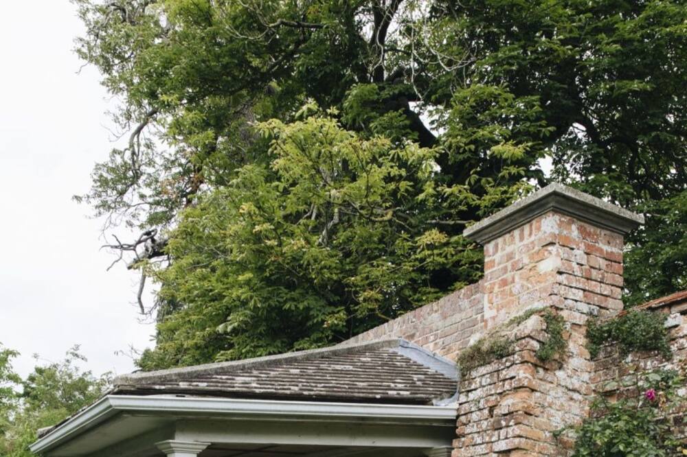 Photo of Outdoor in Newington