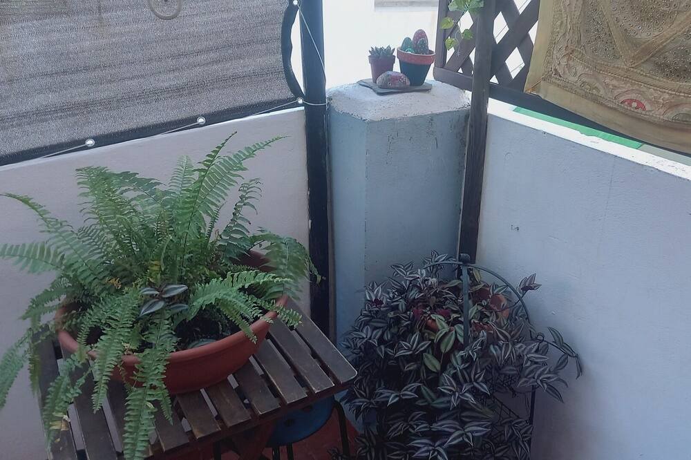 Photo of Outdoor in Alaquas